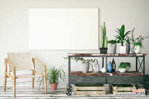 重扇黄叶的原因和处理办法