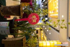 绿草变黑兰，你家的兰花“中毒”了，再不管立马死翘翘！