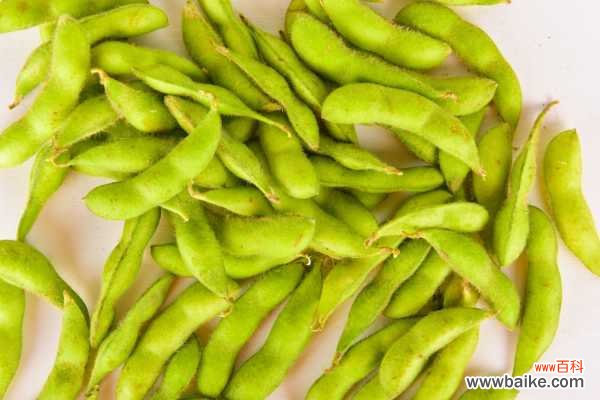 阳台怎么盆栽毛豆？