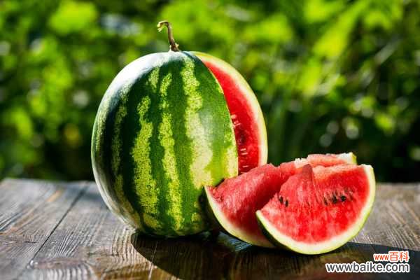 阳台盆栽西瓜的方法