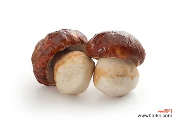 阳台种植蘑菇的方法