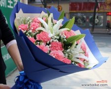 探秘康乃馨的历史文化背景及赠花礼仪 康乃馨的含义与赠送方式