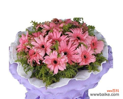 探寻以扶郎的花语的奥秘 以扶郎的花语