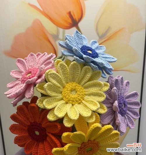 揭开扶郎花神秘的面纱 扶郎花的寓意与象征意义