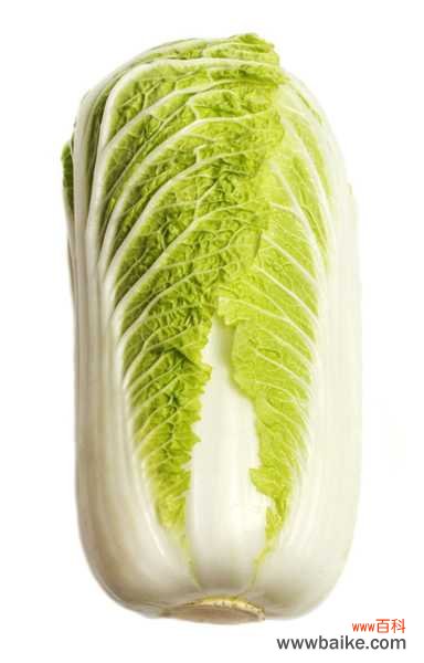 阳台种白菜的方法