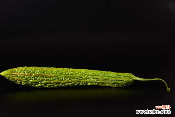 阳台种植苦瓜的方法