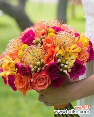 针垫花花语代表什么？如何正确养护针垫花？