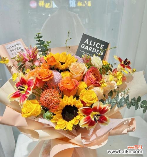 针垫花花语代表什么？如何正确养护针垫花？