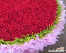 解读8朵红玫瑰花的不同寓意，让你送花更有心 8朵红玫瑰花的含义与象征