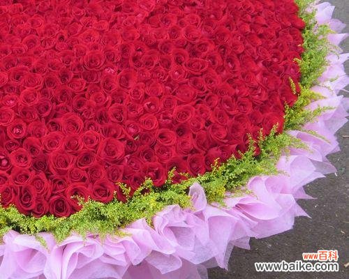 解读8朵红玫瑰花的不同寓意，让你送花更有心 8朵红玫瑰花的含义与象征