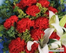 探寻桃红色康乃馨的八种寓意与象征 解读康乃馨花语——蕴含在桃红色康乃馨背后的意义