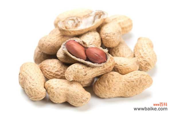 花生盆栽的种植方法