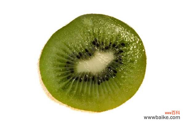 猕猴桃种子可以种植小盆栽吗