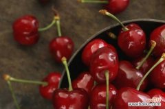 樱桃籽可以种成小盆栽吗