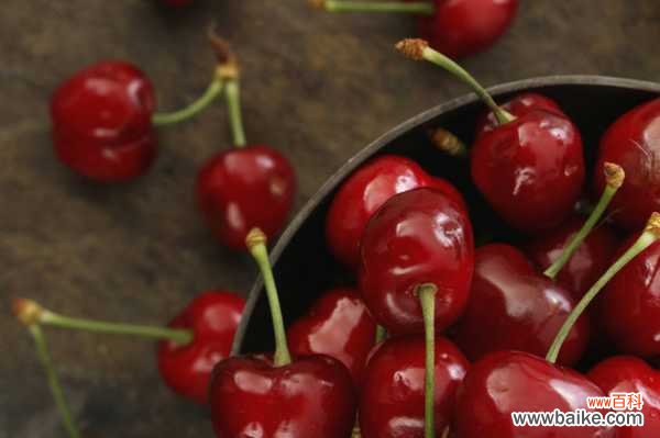 樱桃籽可以种成小盆栽吗