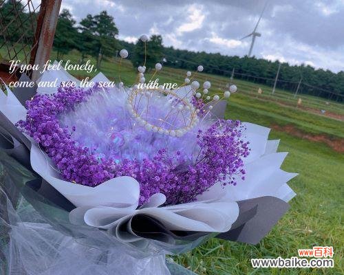 什么是蓝色满天星,它代表什么? 蓝色满天星花语的意义