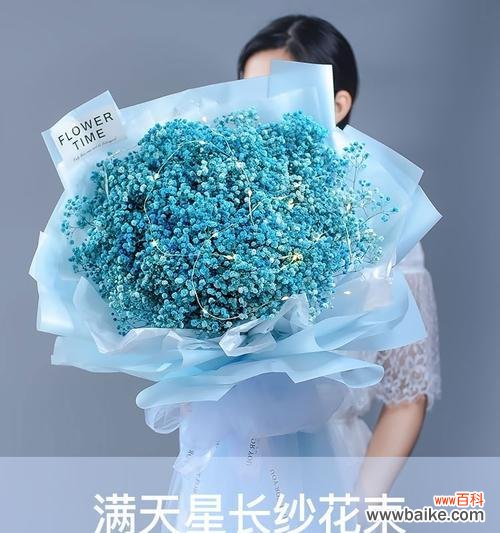 什么是蓝色满天星,它代表什么? 蓝色满天星花语的意义