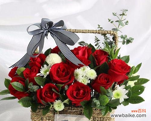 传递爱情与美好，13朵玫瑰花的神秘背后 深入解析13朵玫瑰花的含义