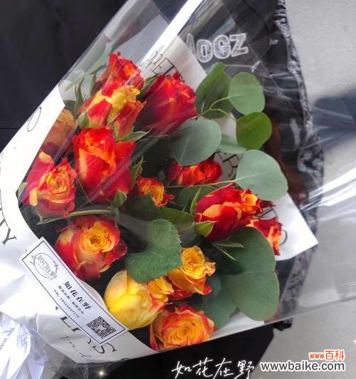 探究玫瑰花语，传递真挚情感 19朵玫瑰代表的含义