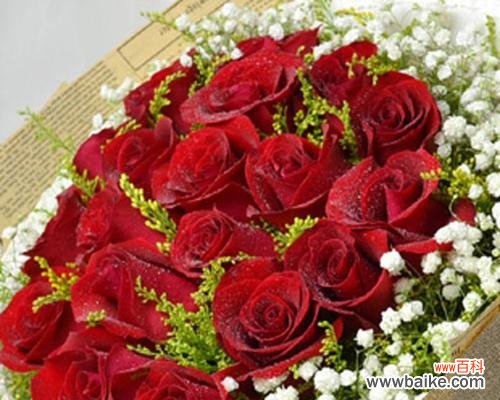 探究玫瑰花语，传递真挚情感 19朵玫瑰代表的含义