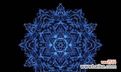 探秘花海中的真挚情感与内心表达 蓝色曼陀罗的花语与美好寓意