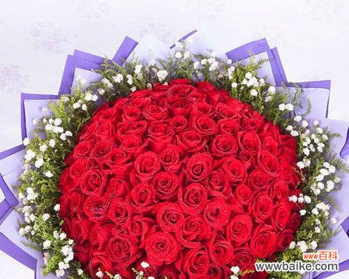 浪漫、真诚、永恒 99朵玫瑰花的花语