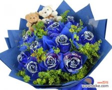 探索花语文化的奥妙，传承中华民族的传统美学 解密蓝色妖姬11朵代表的含义