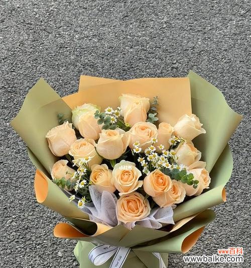 探寻香槟玫瑰的花语之谜,品味不一样的情感 香槟玫瑰花语解析