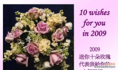 探寻不同朵数玫瑰花所代表的含义 一朵、两朵还是三朵？玫瑰花的花语解读