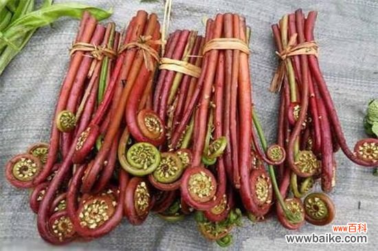 螃蟹和花生能一起吃吗？不能/一起吃容易拉肚子