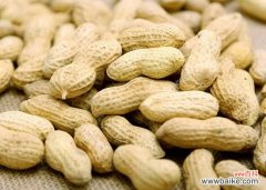 花生什么时候种植？春季,勿弄错季节