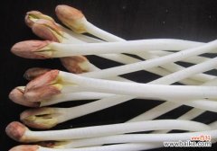 花生芽有毒吗？无毒,且比花生营养要高