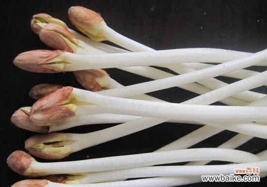 花生芽有毒吗？无毒,且比花生营养要高