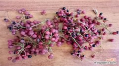 花椒怎么种？花椒种子种植管理技术