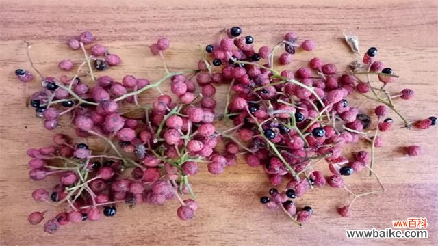 花椒怎么种?花椒种子种植管理技术