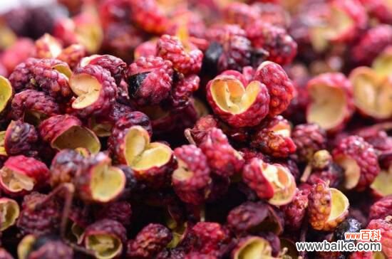 花椒种子怎样育苗?花椒种子育苗方法步骤