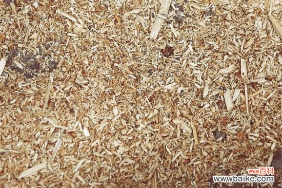 养花用什么土？不同的花要配不同属性的土壤