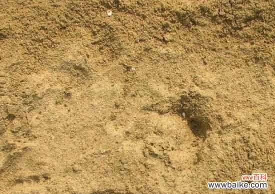 养花用什么土？不同的花要配不同属性的土壤