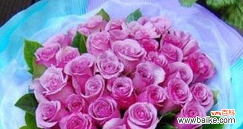 紫玫瑰代表什么含义?紫玫瑰花语的真正意义是什么?