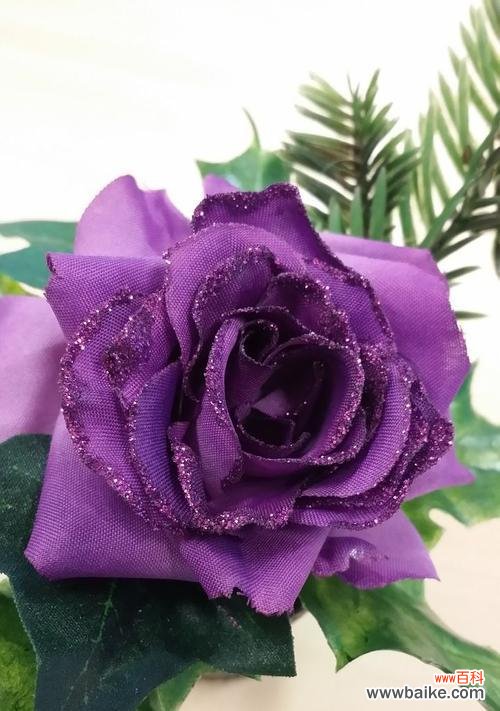 紫色玫瑰花代表什么?紫色玫瑰花的寓意是什么?