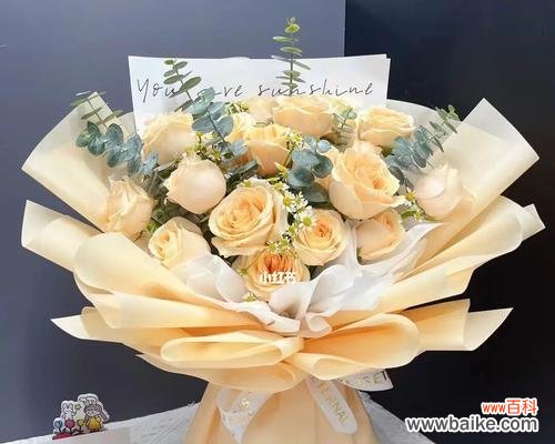 浪漫的玫瑰花语及其象征意义，19朵香槟色玫瑰花的美丽传说 19朵香槟色玫瑰花花语