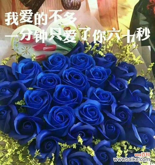 浪漫寓意与赏析 蓝色玫瑰花语
