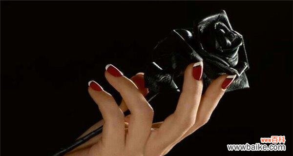 探秘黑玫瑰背后的故事，解读它的象征意义 黑玫瑰的神秘代表意义