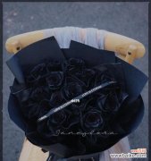 黑玫瑰代表的深邃之美 黑玫瑰的花语含义