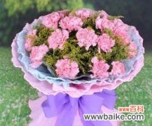 紫色康乃馨代表什么？花语和寓意有哪些常见问题解答？