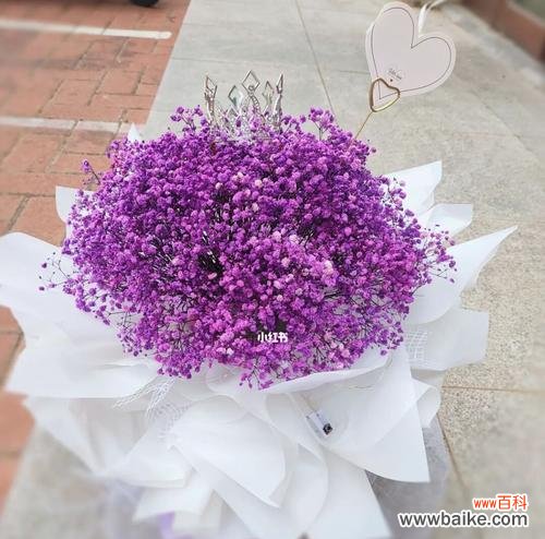 紫色满天星花语是什么?如何正确解读紫色满天星的含义?