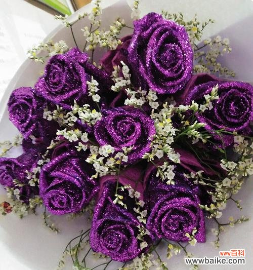 紫色玫瑰花代表什么？紫色玫瑰花的深层含义是什么？