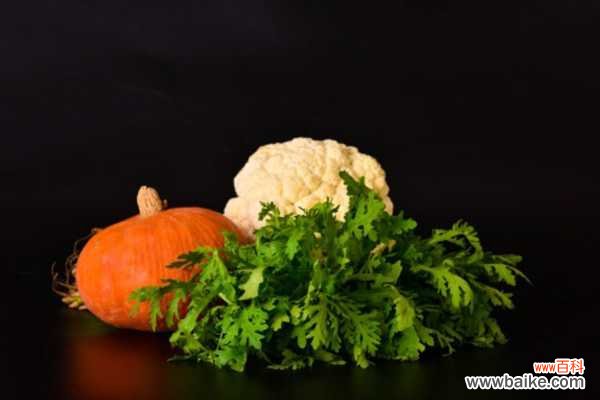 阳台怎么种茼蒿