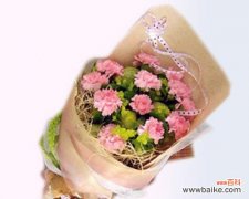 探寻康乃馨背后的深刻含义，表达对妈妈的感激之情 母亲节特别献礼——康乃馨花语解析