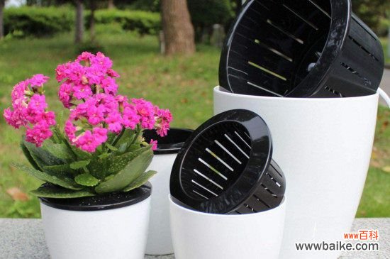懒人花盆怎么用？懒人花盆的使用方法